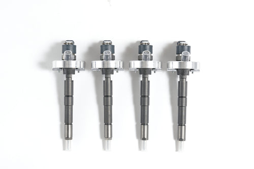 ZD30 CRD Injectors 2