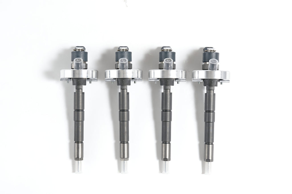ZD30 CRD Injectors 2